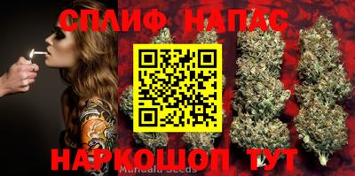 героин Сланцы