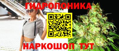 Альфа ПВП Славянск-на-Кубани